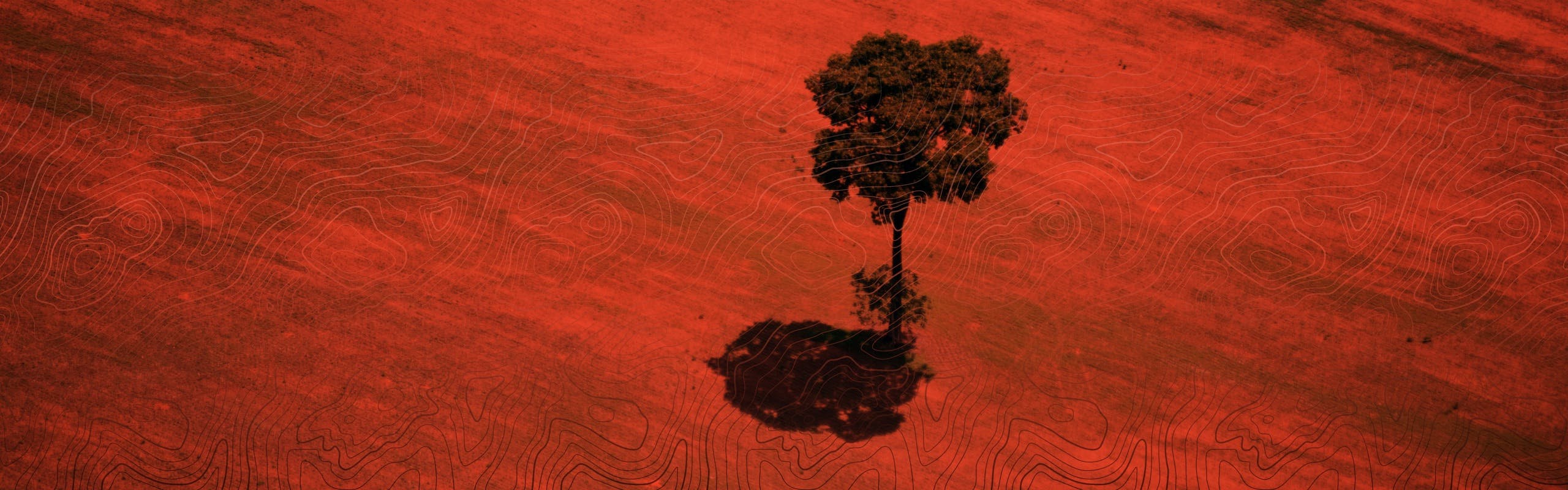 Cover Image for 8.1 Síntomas y consecuencias - Deforestación