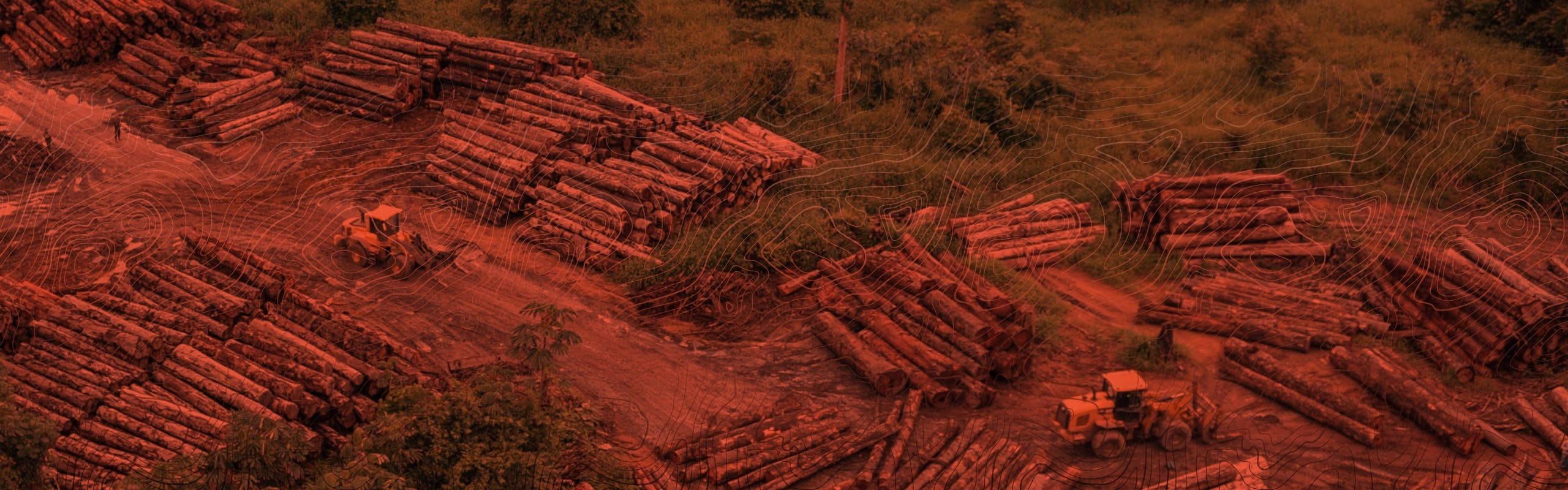 Cover Image for 6.1 Economías ilegales - Extracción de madera